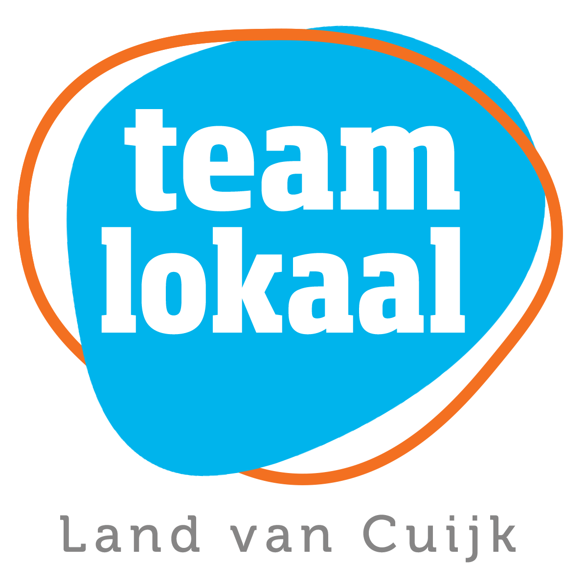 logo Team Lokaal